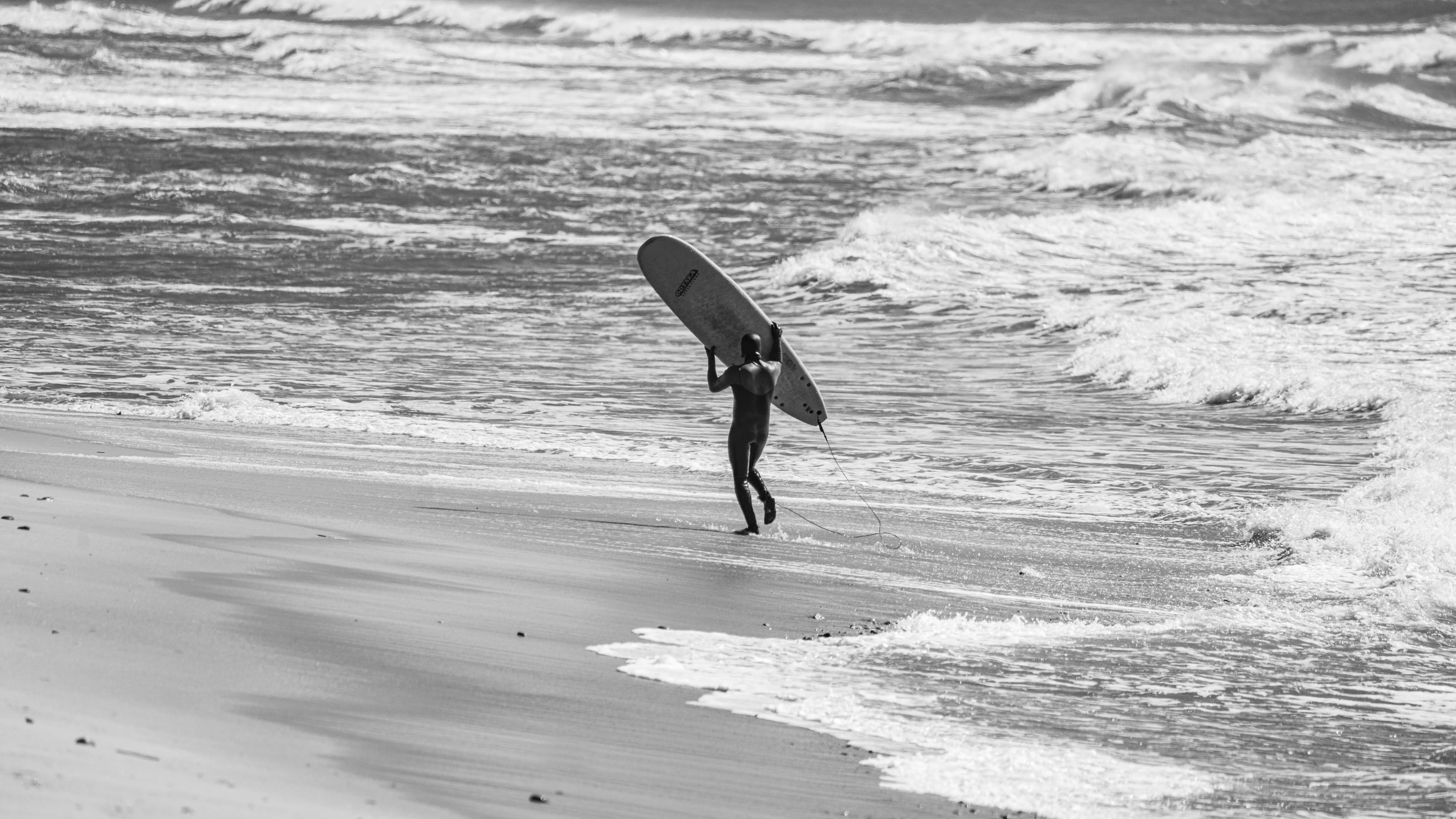 Long Island Surf